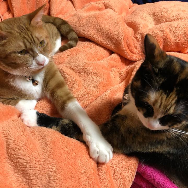 22f60dfc 3046 401b baac 3269960d3d12 1580994116455