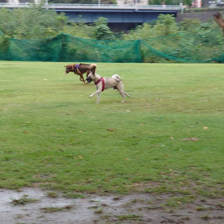 22f61098 5075 4dcb beeb 473397c112cd 1696034895448