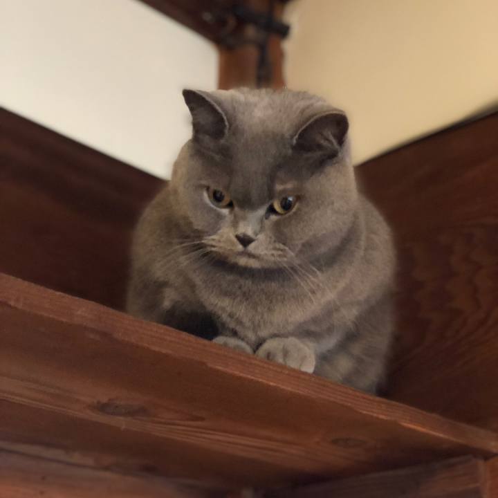 22f61b46 7168 4537 9acb 5444f096f677 1581316622696