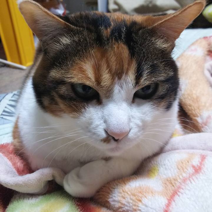 22f62dee c9d9 47df 82ca a694b4f295bc 1558270709319