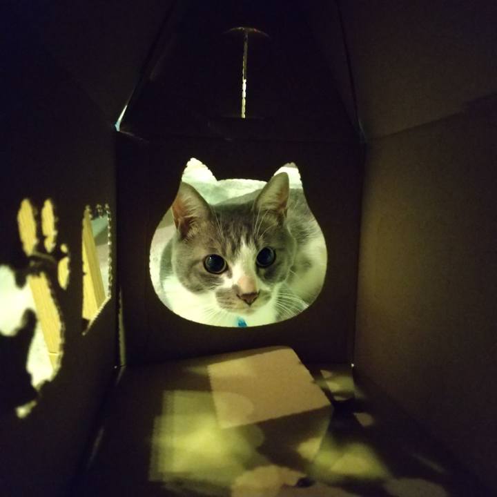 22f62f89 304f 49c2 a0a1 310a6c481c06 1596464971004