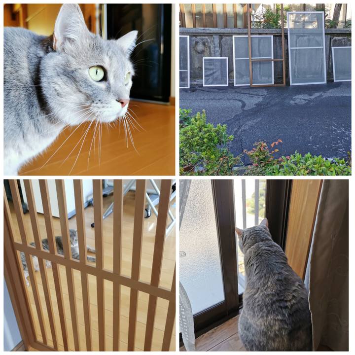 22f6449d 3a69 43ee 9562 c327d2482d9a 1632029686577