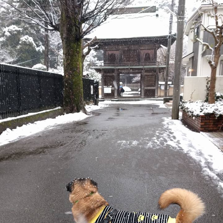 22f64910 1e2a 4b1a b233 4a497a3a47e2 1517530326927