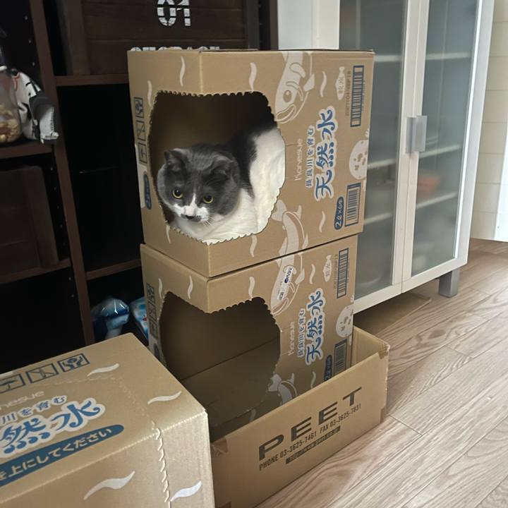 22f68542 02e8 4d27 8bb0 3a0a8550b605 1745890532826