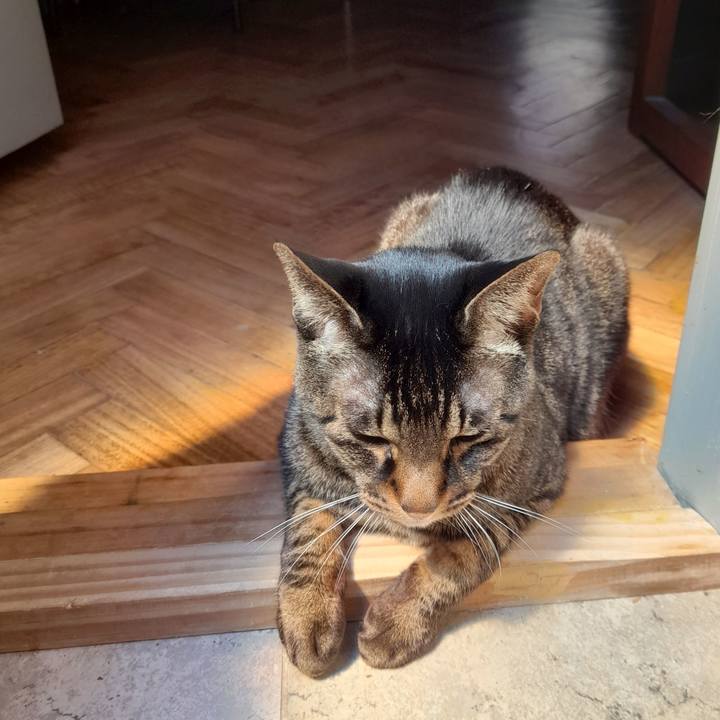 22f696eb 4f42 49ce 907a 2c1d09b6eb33 1760916139395