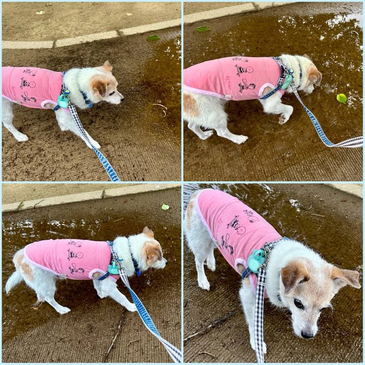 22f6b9f4 051e 4278 a9a9 0a8c8e5d58ae 1752192002975