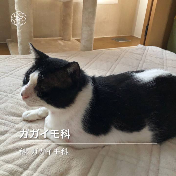 22f6e54d f1a4 4775 8ec5 d0c48a6413d1 1626444922655