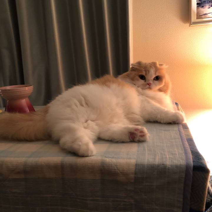 22f6e839 fec0 47a2 bf41 3391cd8f004b 1604406482433