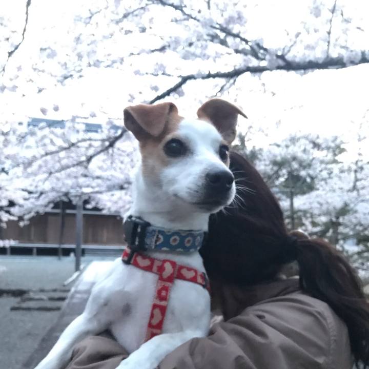 22f6f829 6431 40be 86f6 83afc8b0f2f4 1585912340067