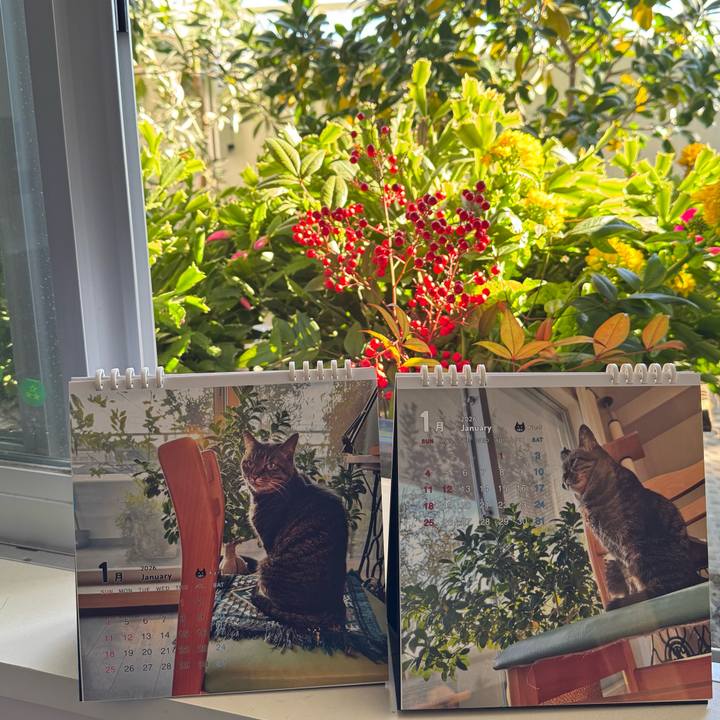 22f71072 6b2f 45cf 8afe a4d8b260535e 1767234660617