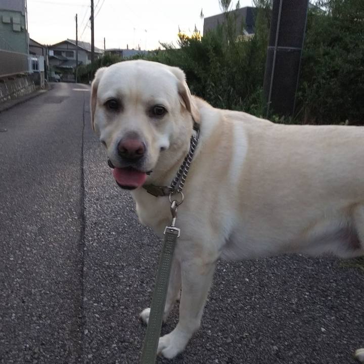 22f714e2 ad62 4950 a7d1 443ce69a1362 1567071663456