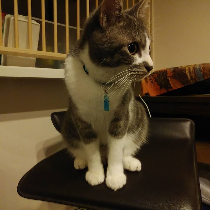 22f7348e fe45 48ee 8f35 3d2a8a0f102e 1580051449320