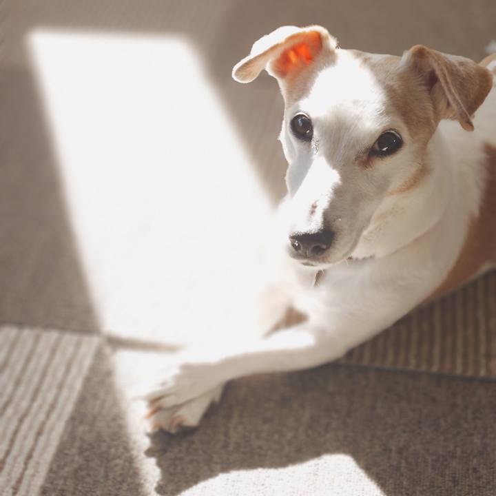 22f752b0 f461 48d8 ad17 27db79dd0e67 1769303131302