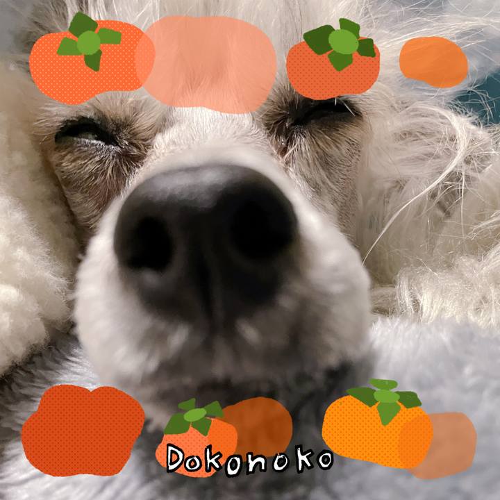 22f76c18 aab0 4b4d 9187 2786264383d9 1762574511060