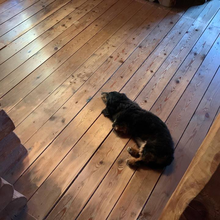 22f77bad 01af 4028 ad16 193345169565 1627937492422