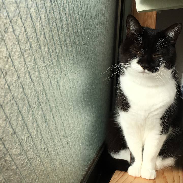 22f7854c e545 4a38 8755 51743ed62981 1512962095273