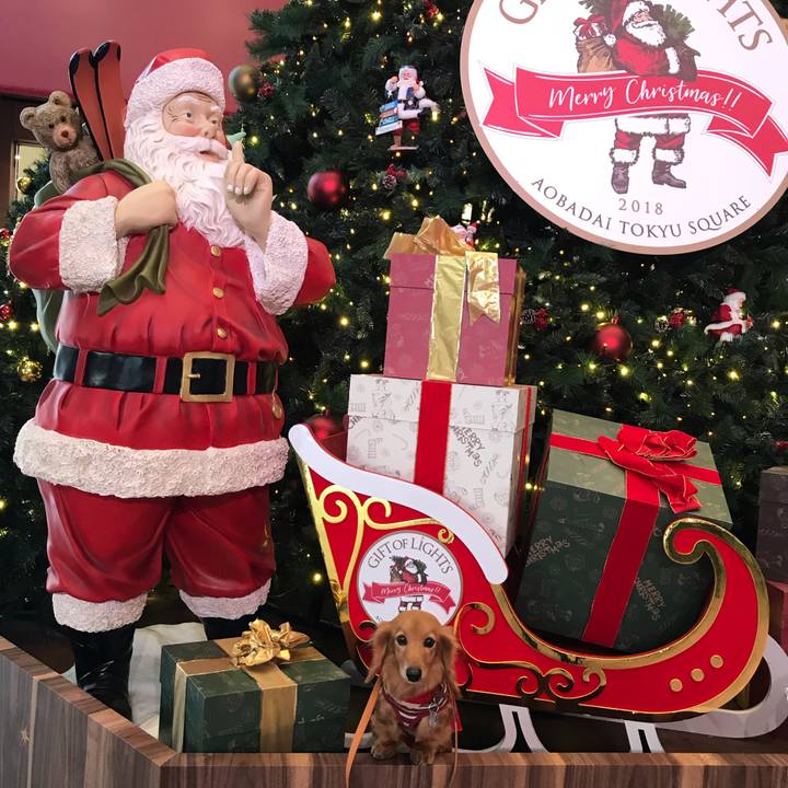 22f7a7b8 445a 4328 ade0 26fc1fbd8c01 1545696997078