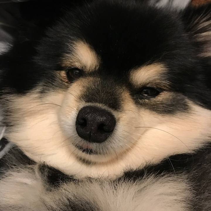 22f7be3f 4e40 4e81 a493 4a57c20b20c7 1518606815416