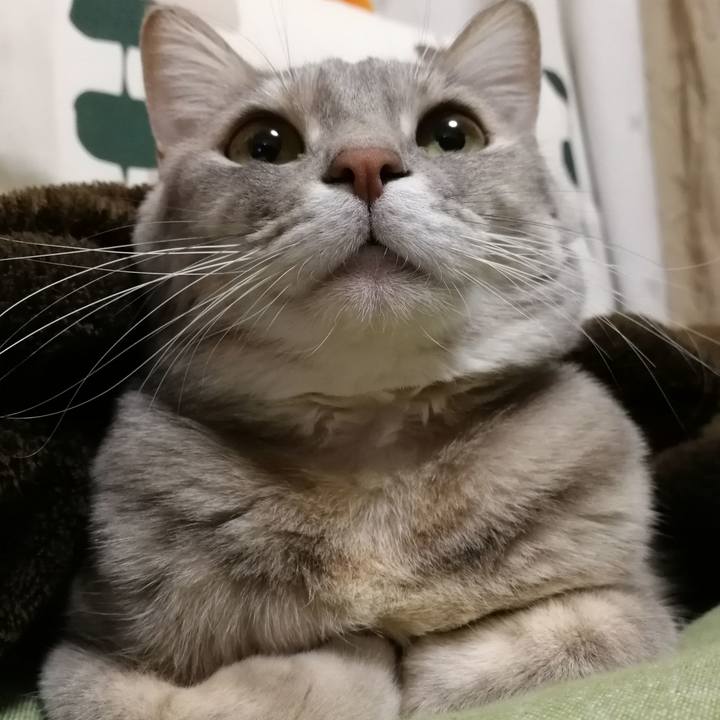 22f7fb41 c430 4589 8f90 768d93039dac 1518356254565