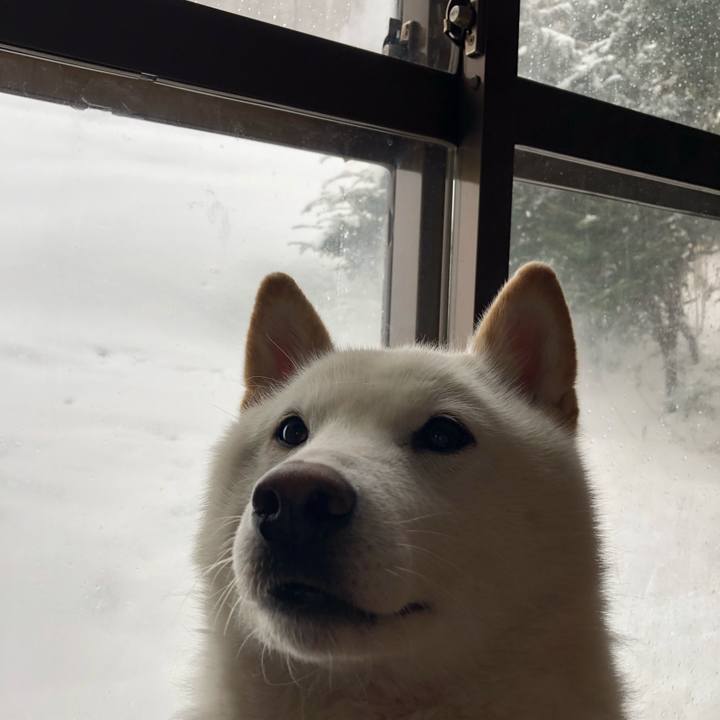 22f7fe86 a359 49eb ae18 560a509442fb 1582434276458