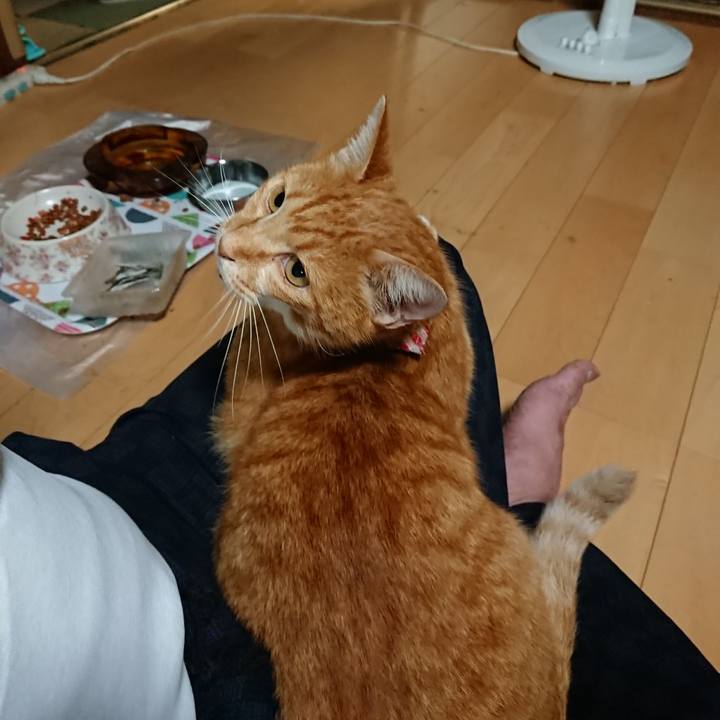 22f80569 30a4 411f a181 919851caa5c4 1598871550343