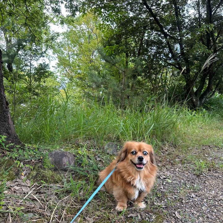 22f82a78 9037 4cd4 93f8 01b12a2ed02b 1694819576358