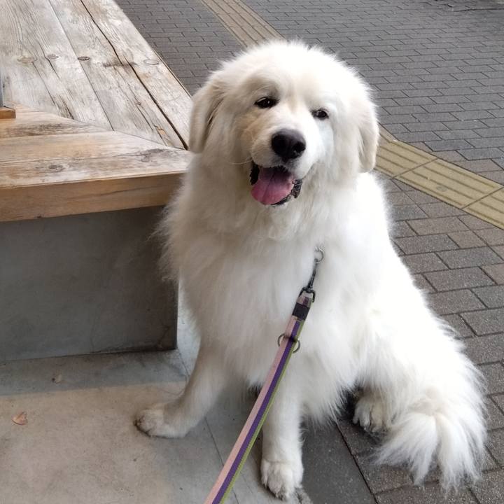 22f830e1 3c2d 44bd ad56 4daa15d4c555 1682074310110