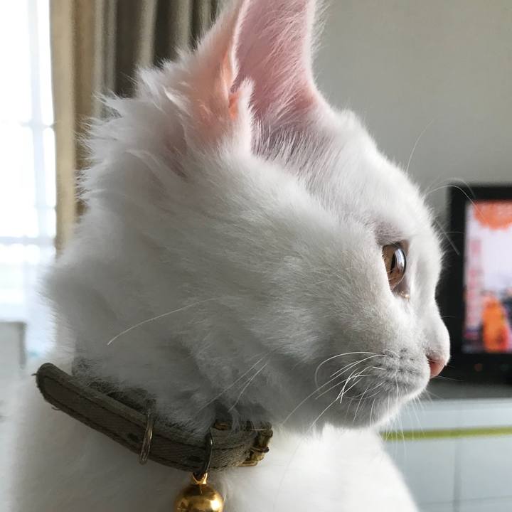 22f837c3 90fb 40c5 8a02 16d4938b8c00 1509323897533