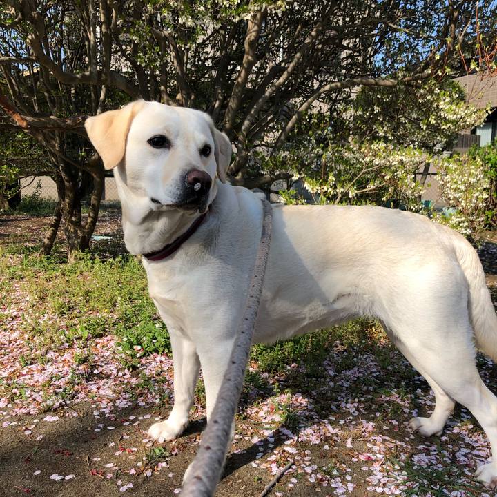 22f85d2e 4e0c 4259 8798 4b09e3cfc091 1586406417101