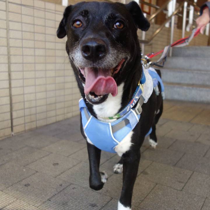 22f8a289 fe10 427c b942 32b595b5d60a 1692494879201