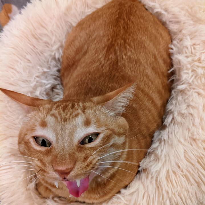 22f924d3 c36d 4d79 83b0 0e4200e9c309 1641807271383