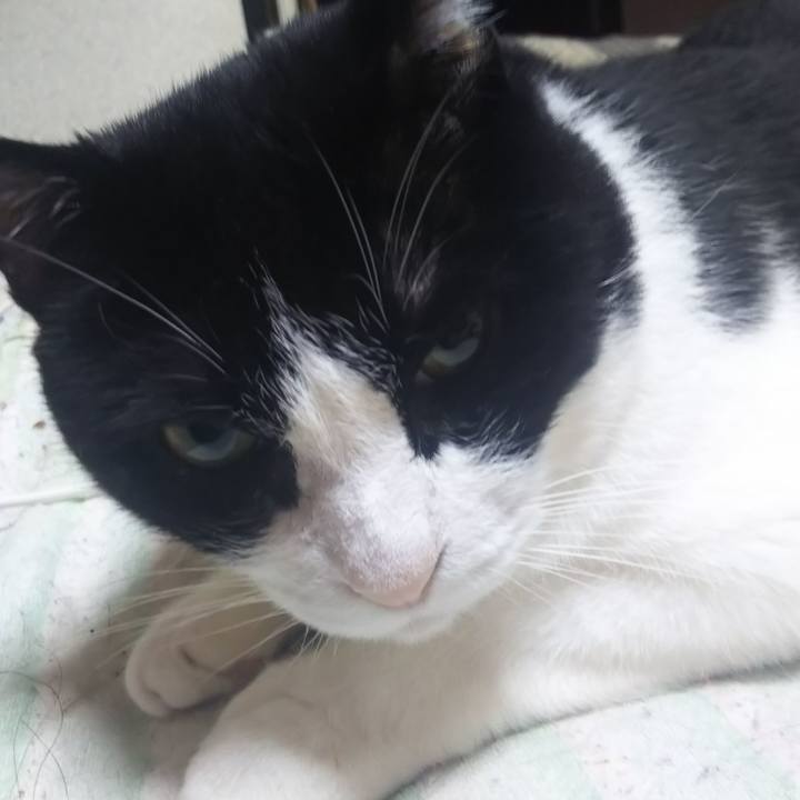 22f953f8 1898 4107 97b6 477d5f4430a9 1562018210716