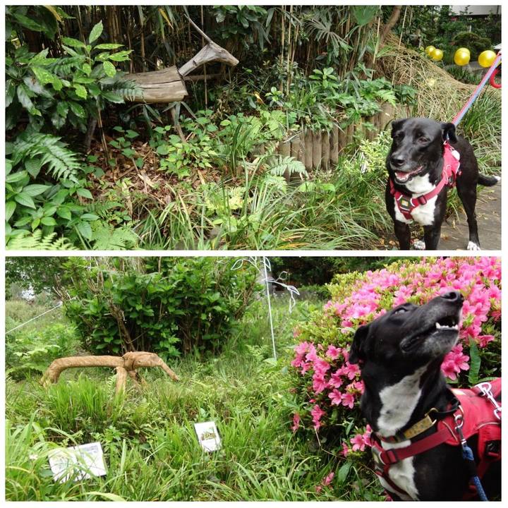 22f9738a a010 4b5e b567 46b4aa8c0af6 1621645329957