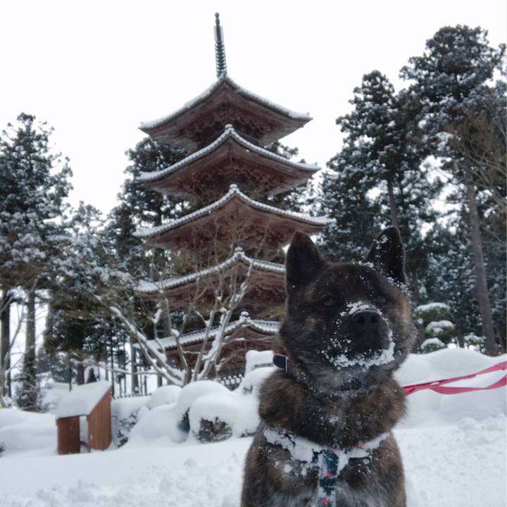 22f9905e bd59 437f 92de 47bdeaad0dc9 1516847877866