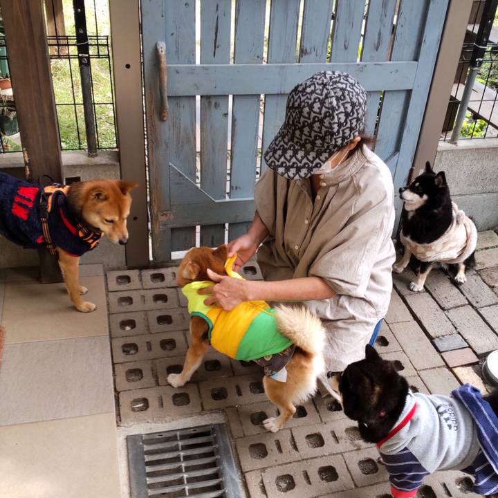 22f9b13f 4fdd 44c4 9c4a 321b6c06c976 1637491482757