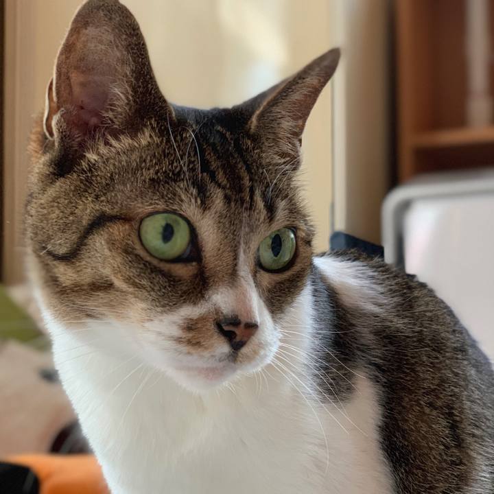 22f9d18e adfb 4f05 963b c6cea5acde07 1563411600249