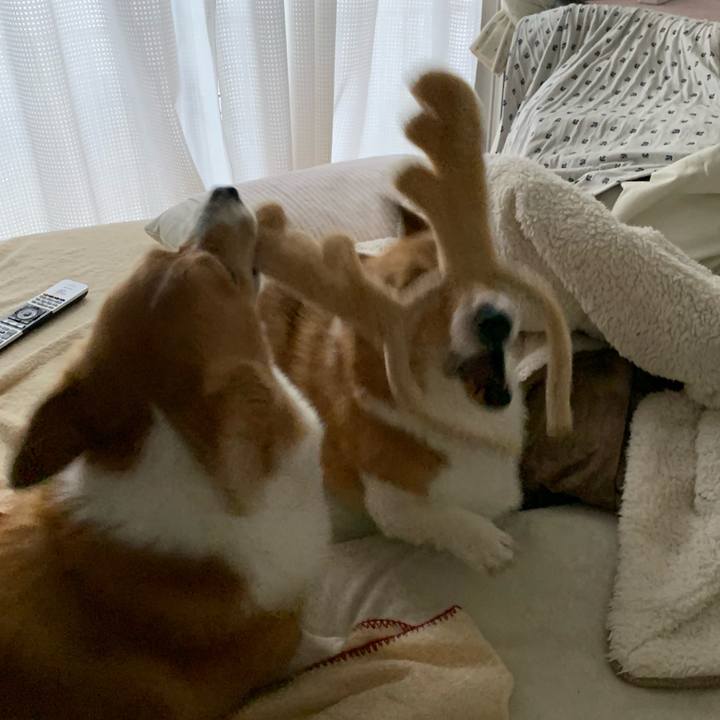 22f9d869 468e 4640 9a50 5a2d443d86e3 1577191512353