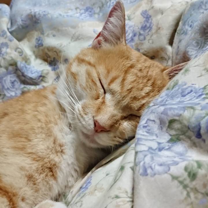 22f9eca2 fec1 414e 8275 ed60fcd65078 1589113677543