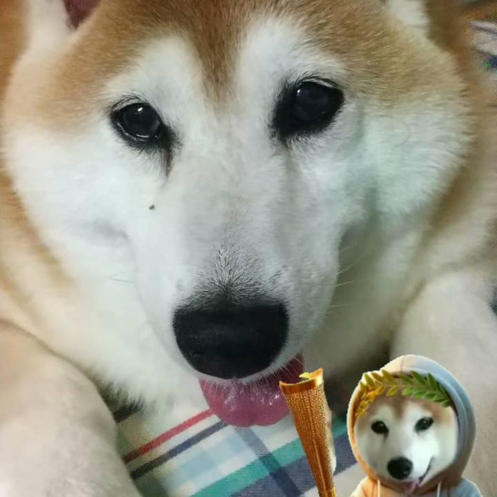 22fa6383 d532 4587 a063 dd11e84814f1 1728364608518