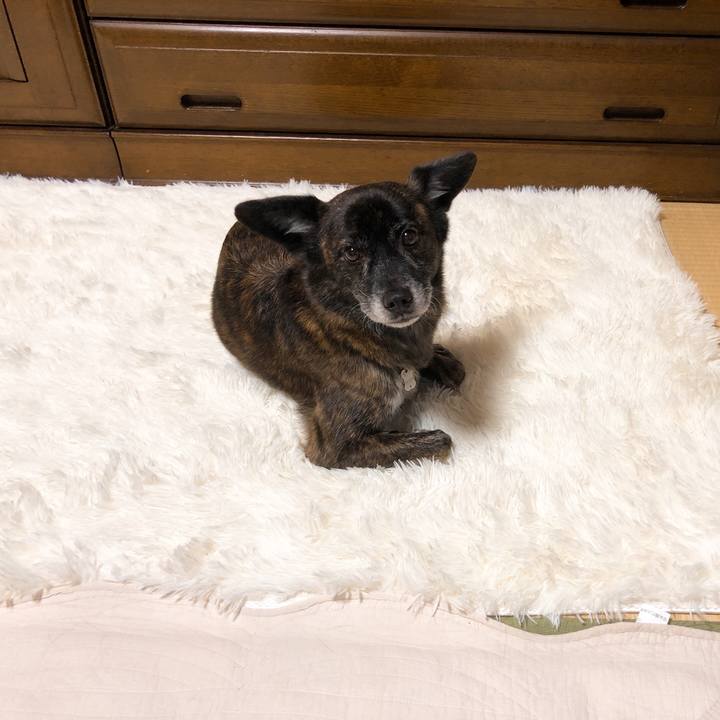 22fa6929 2a16 45e8 9112 1c6ad94695c5 1575297829613