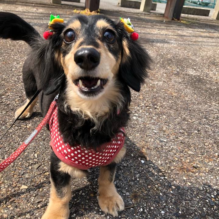 22fa8099 74fd 4e11 b14a e14930751afc 1558052306972