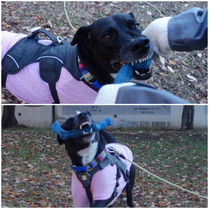 22fa8c52 14c5 43f2 b0c2 ebd71adcaa43 1640134310190