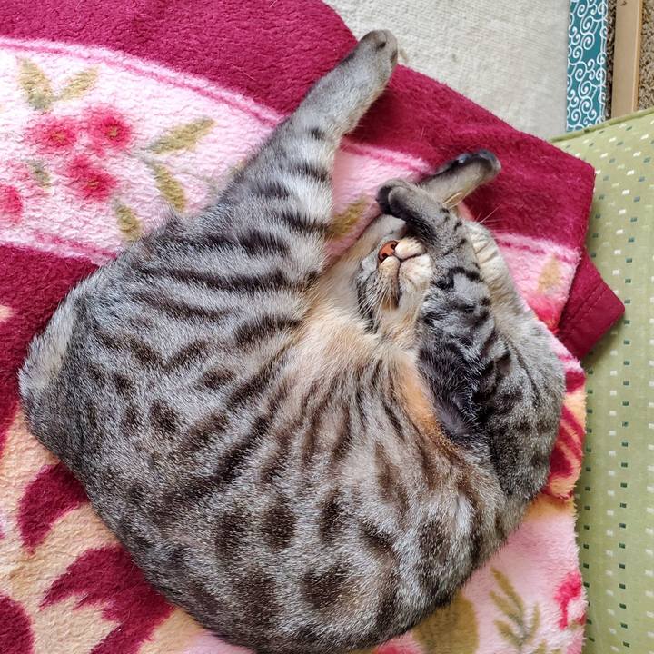 22fb1adf d24a 4ec2 a7b6 1e7f3d0232f8 1709606389114