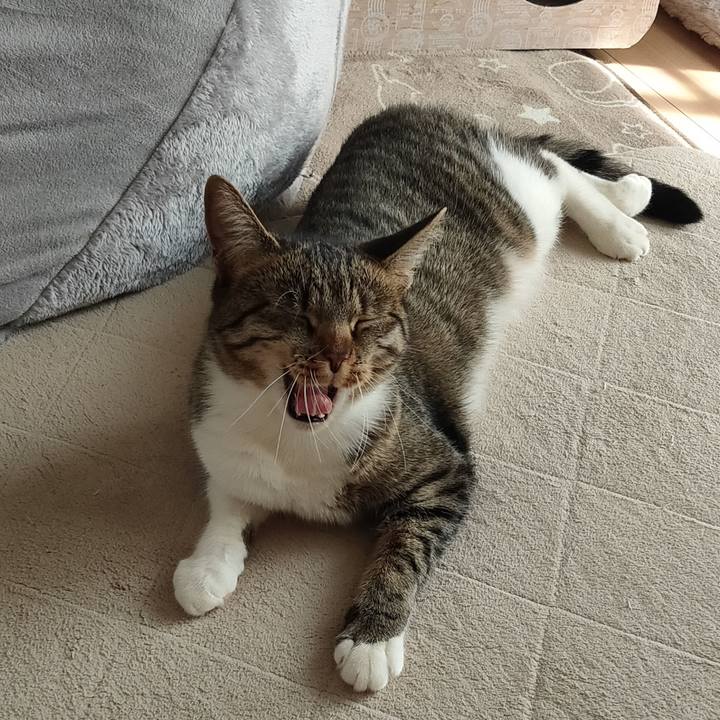 22fb23e1 1116 4203 9562 a23e277309a7 1679545292716