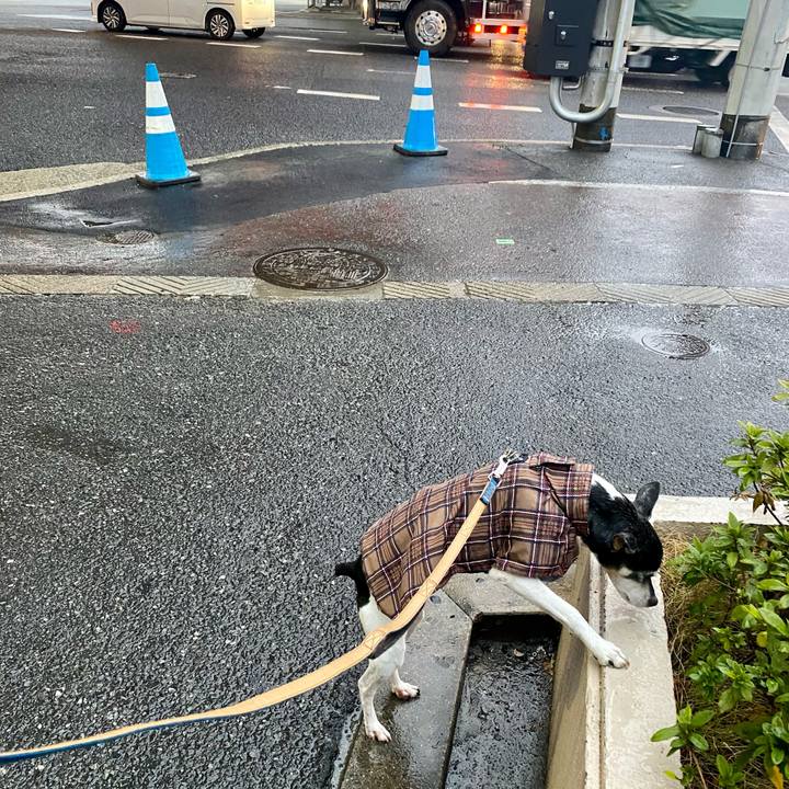 22fb3927 fbe5 4e58 84d4 333184390df8 1615154751661