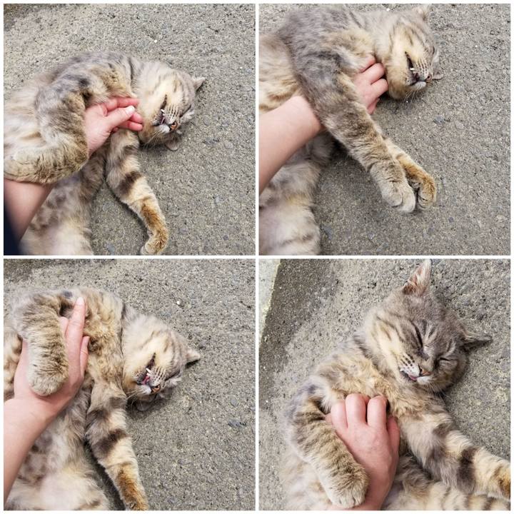 22fb561f 0d7d 4a22 9aed 6a92aff48954 1527217173709