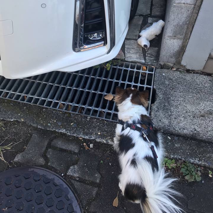 22fb5d64 c6ef 4a5f b380 112c8ca509bd 1701826335039