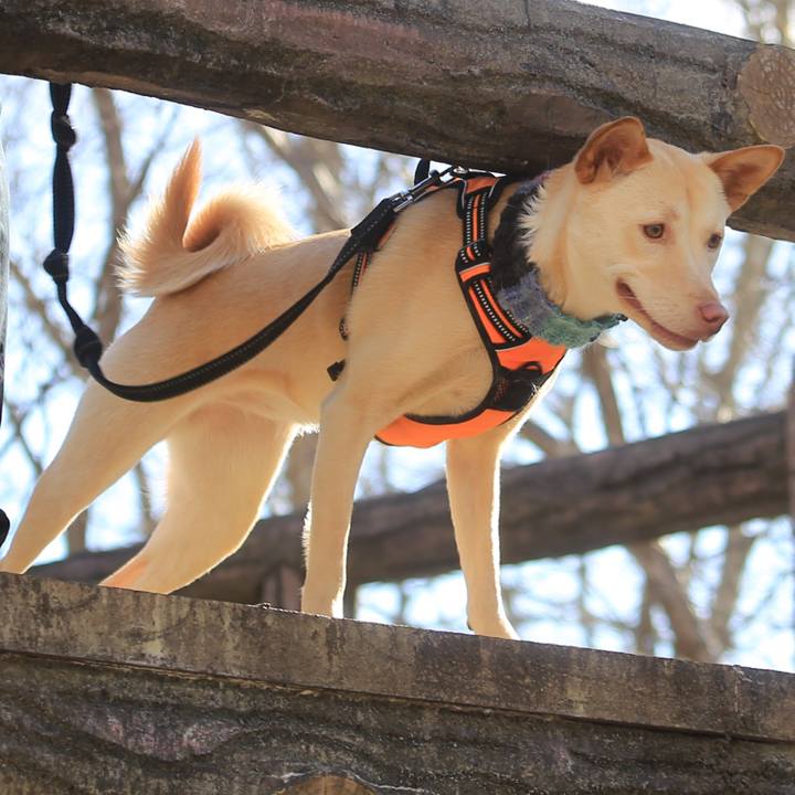 22fb61f1 2f8d 4355 93aa a110a4e668a0 1519020126591