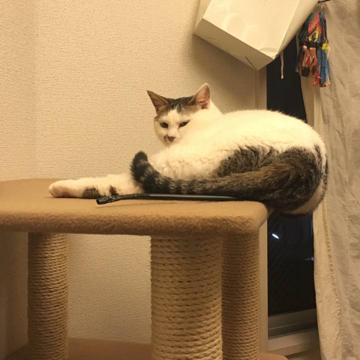 22fb69b2 4312 4cc4 b5b1 e8da1c793f24 1523540492197