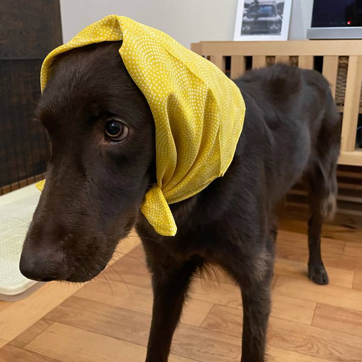 22fb7223 758a 4bf5 a73f 8f57ca004bcc 1618527825907